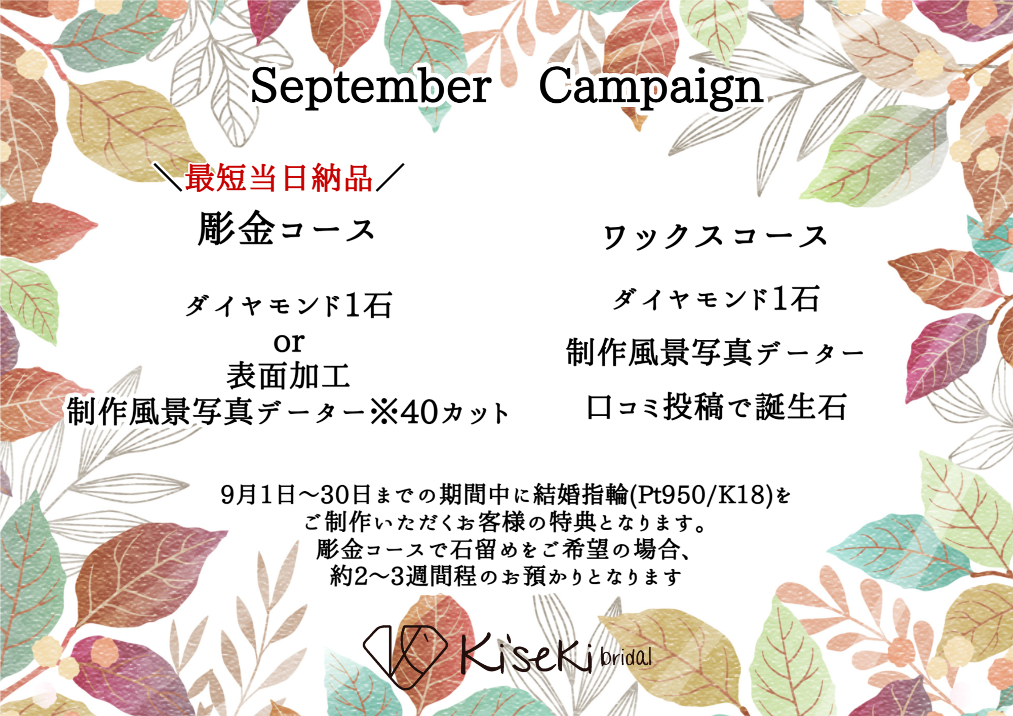 キャンペーン