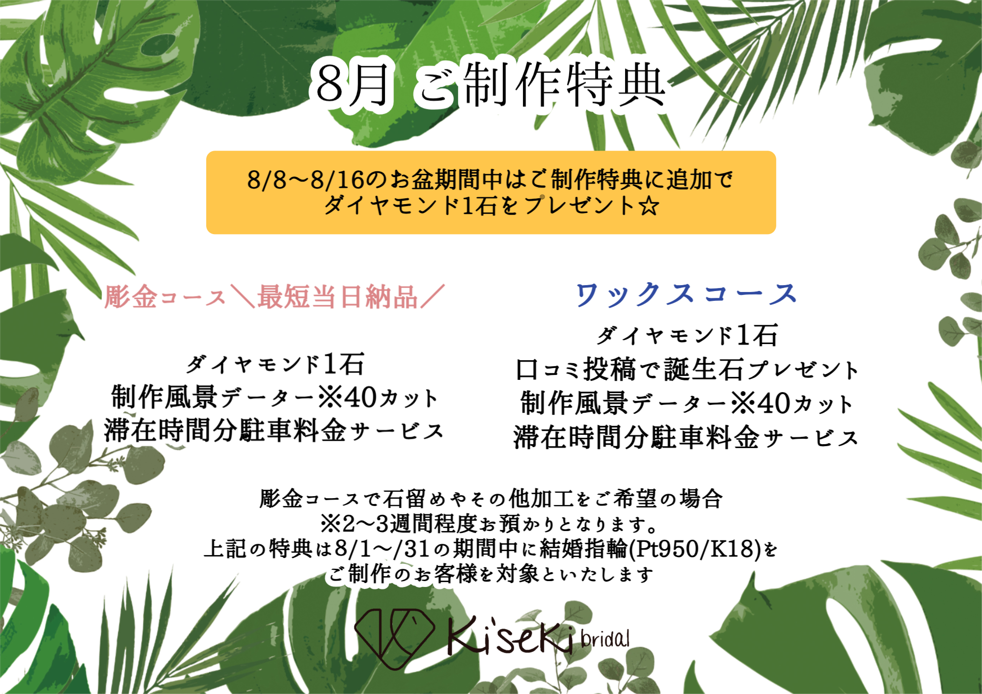 キャンペーン
